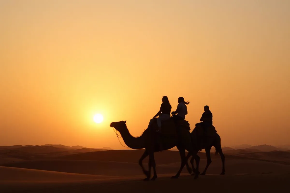 Golden-Hour Camel Walk