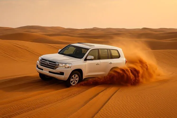 Home Pickup Desert Safari